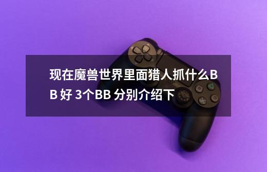 现在魔兽世界里面猎人抓什么BB 好 3个BB 分别介绍下-第1张-游戏信息-龙启网