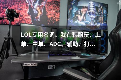 LOL专用名词、我在韩服玩、上单、中单、ADC、辅助、打野、英文各是什么、-第1张-游戏信息-龙启网