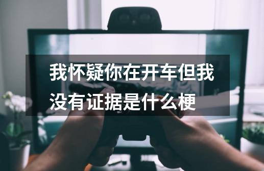 我怀疑你在开车但我没有证据是什么梗-第1张-游戏信息-龙启网