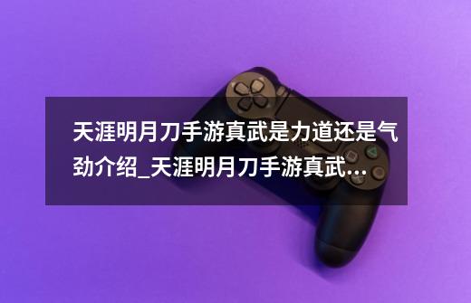 天涯明月刀手游真武是力道还是气劲介绍_天涯明月刀手游真武是力道还是气劲是什么-第1张-游戏信息-龙启网