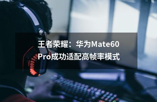 王者荣耀：华为Mate60Pro成功适配高帧率模式-第1张-游戏信息-龙启网