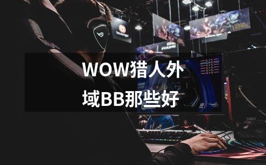 WOW猎人外域BB那些好-第1张-游戏信息-龙启网