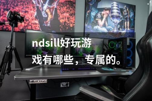 ndsill好玩游戏有哪些，专属的。-第1张-游戏信息-龙启网