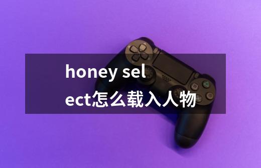 honey select怎么载入人物-第1张-游戏信息-龙启网