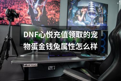 DNF心悦充值领取的宠物蛋金钱兔属性怎么样-第1张-游戏信息-龙启网