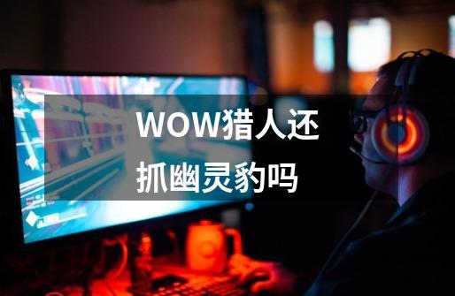 WOW猎人还抓幽灵豹吗-第1张-游戏信息-龙启网