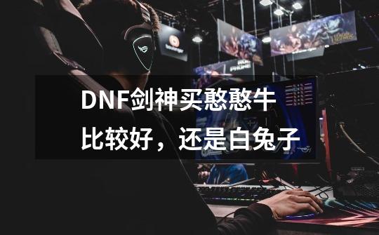 DNF剑神买憨憨牛比较好，还是白兔子-第1张-游戏信息-龙启网