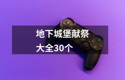 地下城堡献祭大全30个-第1张-游戏信息-龙启网