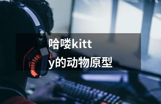 哈喽kitty的动物原型-第1张-游戏信息-龙启网