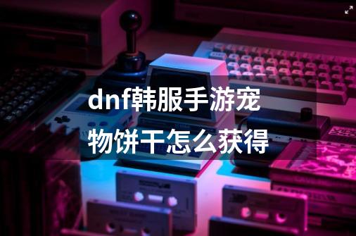 dnf韩服手游宠物饼干怎么获得-第1张-游戏信息-龙启网