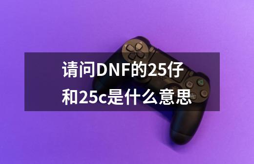 请问DNF的25仔和25c是什么意思-第1张-游戏信息-龙启网