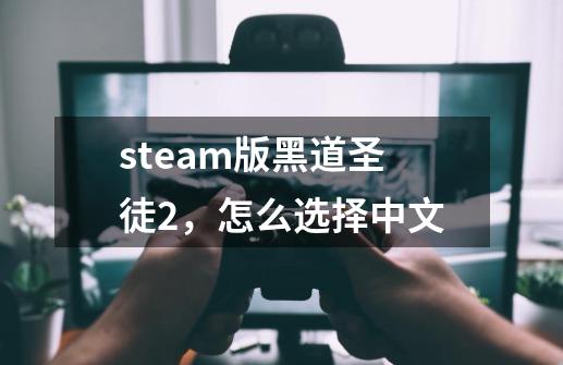 steam版黑道圣徒2，怎么选择中文-第1张-游戏信息-龙启网