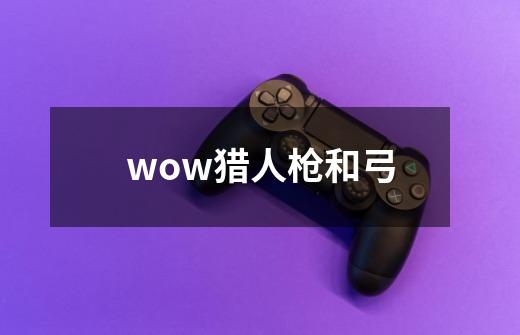 wow猎人枪和弓-第1张-游戏信息-龙启网