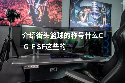 介绍街头篮球的称号什么C G  F SF这些的-第1张-游戏信息-龙启网