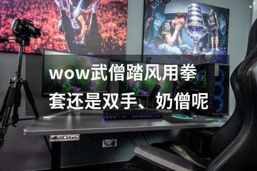 wow武僧踏风用拳套还是双手、奶僧呢-第1张-游戏信息-龙启网