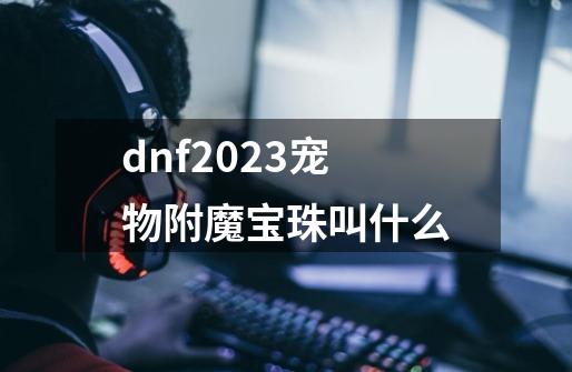 dnf2023宠物附魔宝珠叫什么-第1张-游戏信息-龙启网