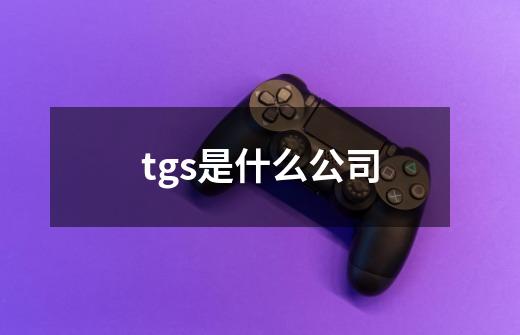 tgs是什么公司-第1张-游戏信息-龙启网