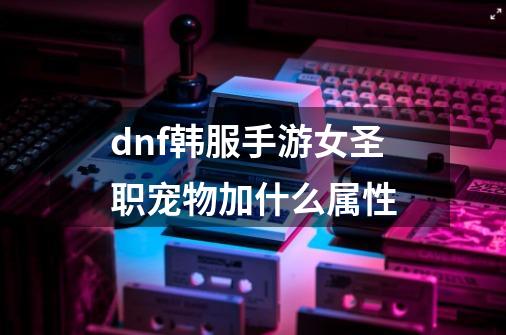 dnf韩服手游女圣职宠物加什么属性-第1张-游戏信息-龙启网