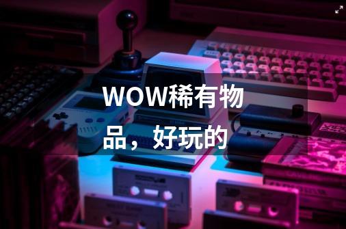 WOW稀有物品，好玩的-第1张-游戏信息-龙启网