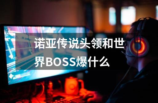 诺亚传说头领和世界BOSS爆什么-第1张-游戏信息-龙启网