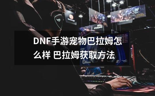 DNF手游宠物巴拉姆怎么样 巴拉姆获取方法-第1张-游戏信息-龙启网