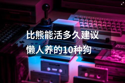 比熊能活多久建议懒人养的10种狗-第1张-游戏信息-龙启网