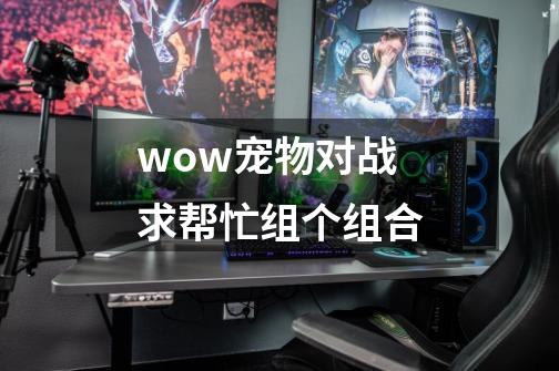 wow宠物对战求帮忙组个组合-第1张-游戏信息-龙启网