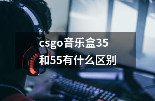 csgo音乐盒35和55有什么区别-第1张-游戏信息-龙启网