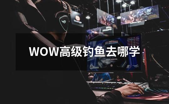 WOW高级钓鱼去哪学-第1张-游戏信息-龙启网