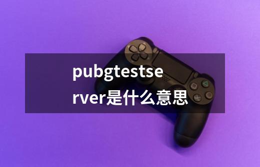 pubgtestserver是什么意思-第1张-游戏信息-龙启网