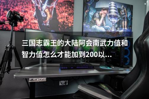 三国志霸王的大陆阿会南武力值和智力值怎么才能加到200以上-第1张-游戏信息-龙启网