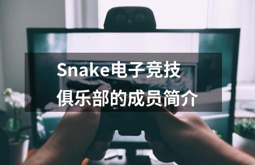 Snake电子竞技俱乐部的成员简介-第1张-游戏信息-龙启网