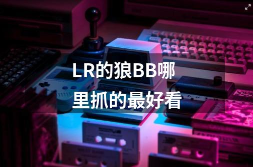 LR的狼BB哪里抓的最好看-第1张-游戏信息-龙启网