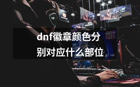 dnf徽章颜色分别对应什么部位-第1张-游戏信息-龙启网