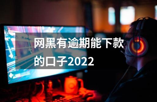 网黑有逾期能下款的口子2022-第1张-游戏信息-龙启网