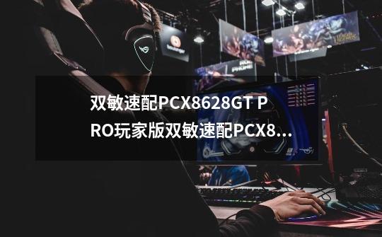 双敏速配PCX8628GT PRO玩家版双敏速配PCX8628GT PRO玩家版详细参数-第1张-游戏信息-龙启网