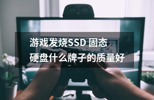 游戏发烧SSD 固态硬盘什么牌子的质量好-第1张-游戏信息-龙启网