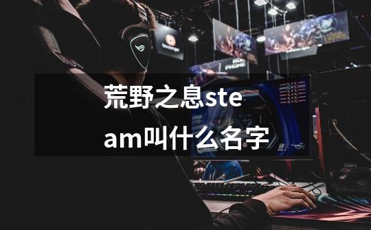 荒野之息steam叫什么名字-第1张-游戏信息-龙启网