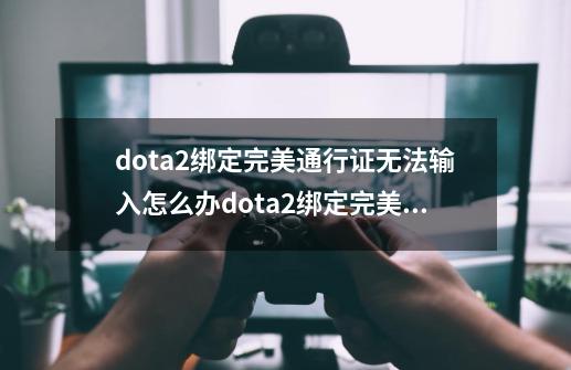 dota2绑定完美通行证无法输入怎么办dota2绑定完美通行证无法输入-第1张-游戏信息-龙启网