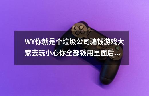 WY你就是个垃圾公司骗钱游戏大家去玩小心你全部钱用里面后面你才会知道他们的游戏多垃圾了，-第1张-游戏信息-龙启网