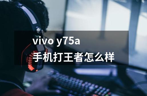 vivo y75a手机打王者怎么样-第1张-游戏信息-龙启网