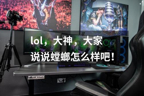 lol，大神，大家说说螳螂怎么样吧！-第1张-游戏信息-龙启网