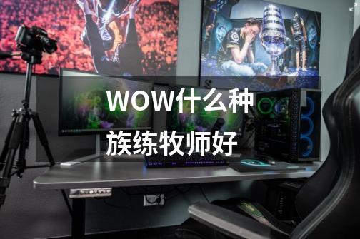 WOW什么种族练牧师好-第1张-游戏信息-龙启网