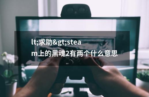 lt;求助>steam上的黑魂2有两个什么意思-第1张-游戏信息-龙启网