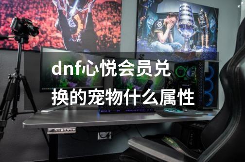 dnf心悦会员兑换的宠物什么属性-第1张-游戏信息-龙启网