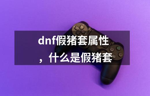 dnf假猪套属性，什么是假猪套-第1张-游戏信息-龙启网