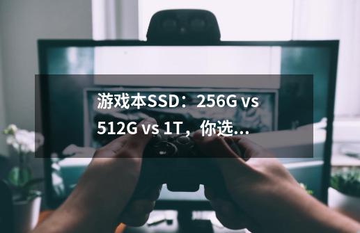 游戏本SSD：256G vs 512G vs 1T，你选哪个-第1张-游戏信息-龙启网