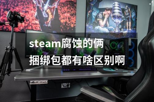 steam腐蚀的俩捆绑包都有啥区别啊-第1张-游戏信息-龙启网