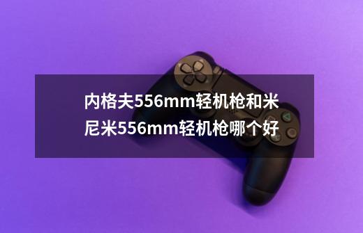 内格夫5.56mm轻机枪和米尼米5.56mm轻机枪哪个好-第1张-游戏信息-龙启网