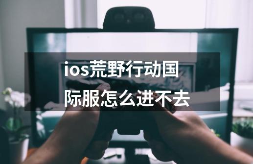 ios荒野行动国际服怎么进不去-第1张-游戏信息-龙启网